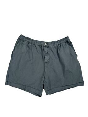 Cove 5" Chino Shorts Charcoal — Size 38